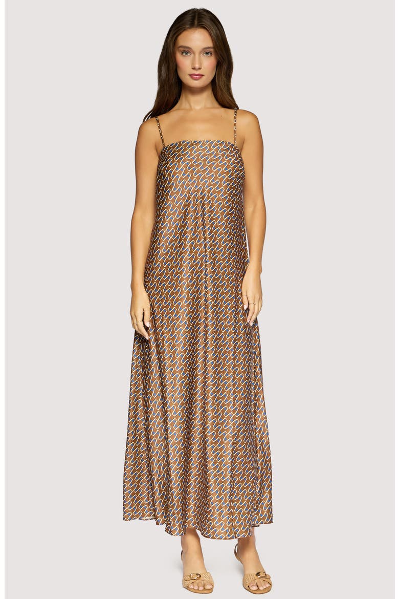 Nights in Capri Maxi Dress, Alternate, color, BROWN-MULTI