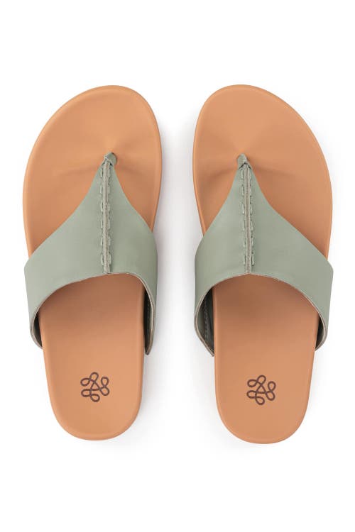 The Sak Everly Sandal In Meadow