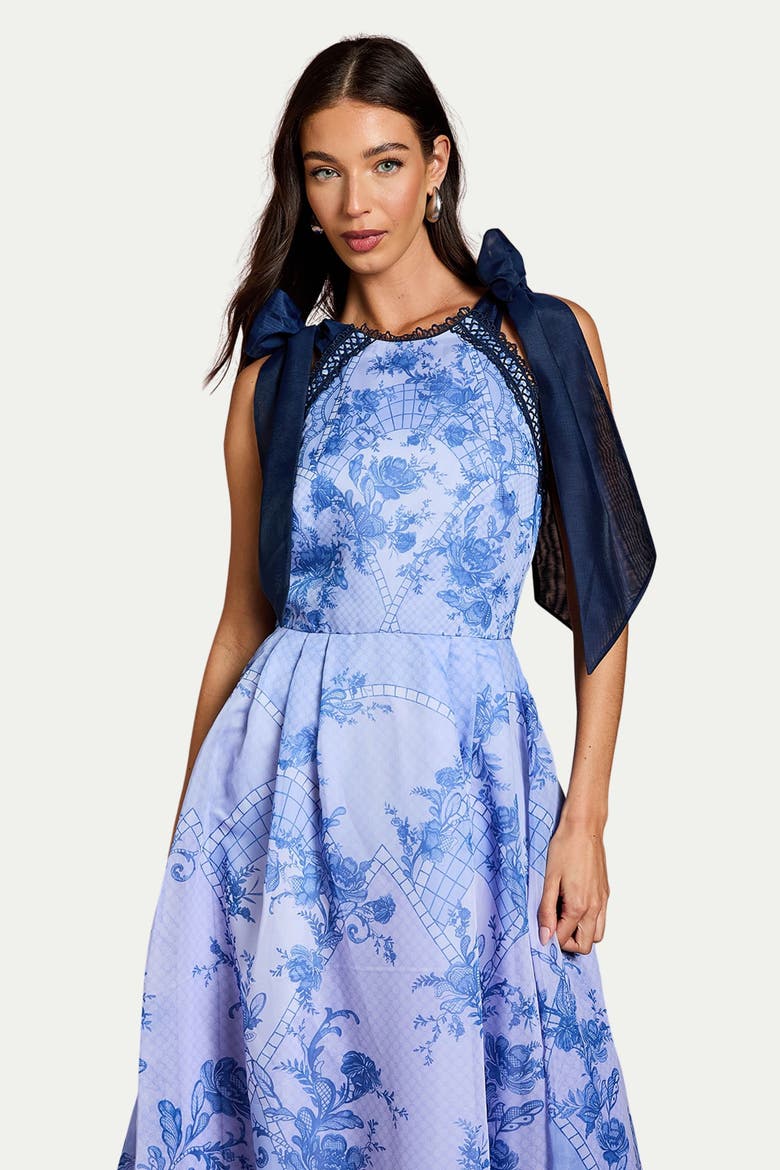 Placement Print Organza Midi Dress, Alternate, color, Blue