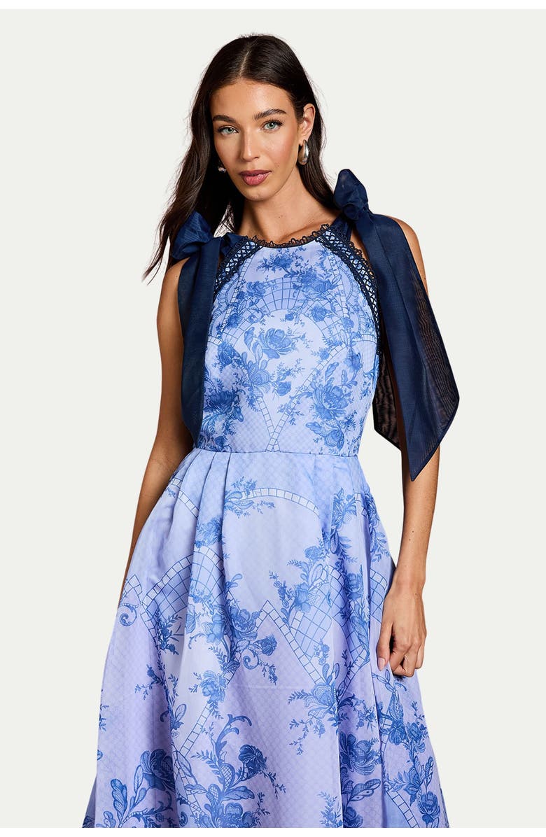 Coast Placement Print Organza Midi Dress, Alternate, color, Blue
