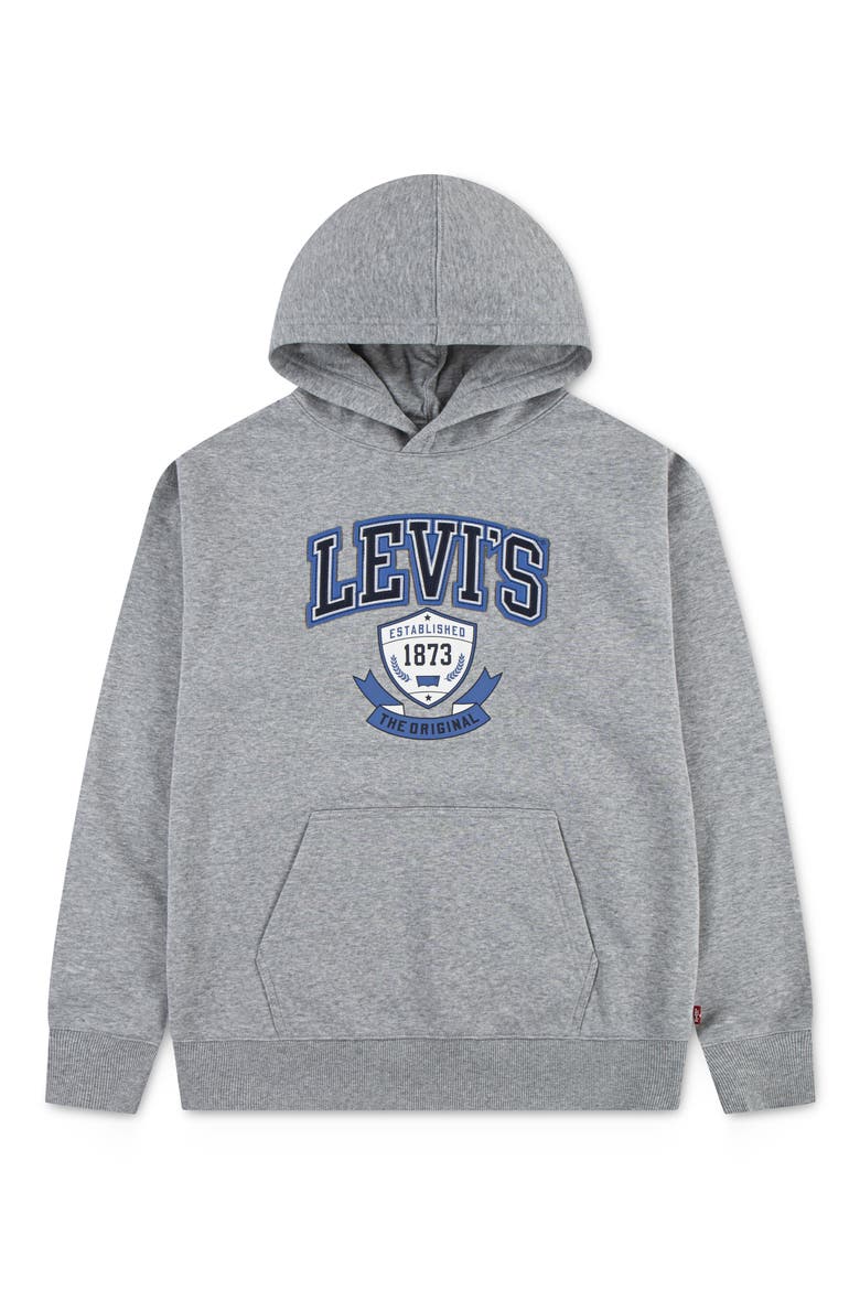Kids' Graphic Fleece Hoodie, Main, color, GREY HEATHER