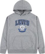 Levi's Kids' Graphic Fleece Hoodie
