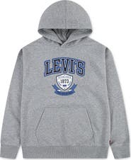 Levi's Kids' Graphic Fleece Hoodie