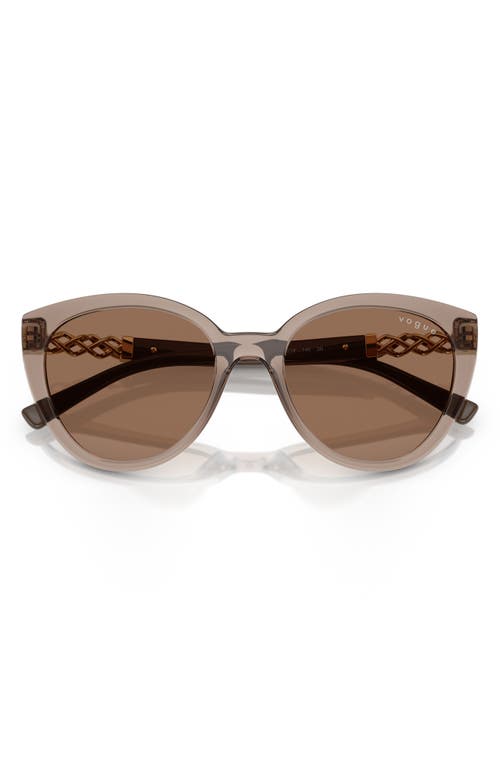 Vogue 53mm Cat Eye Sunglasses In Transparent Brown