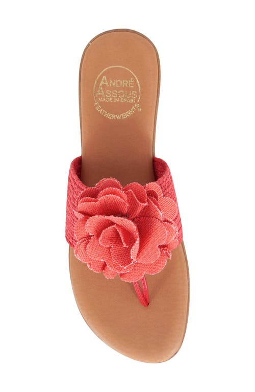 Andre Assous André Assous Nara Sandal In Red Coral