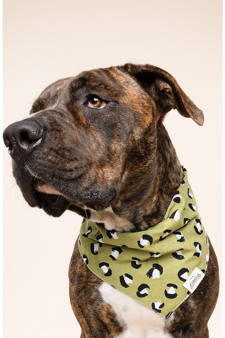 Olive Dog Bandana, Alternate, color, GREEN