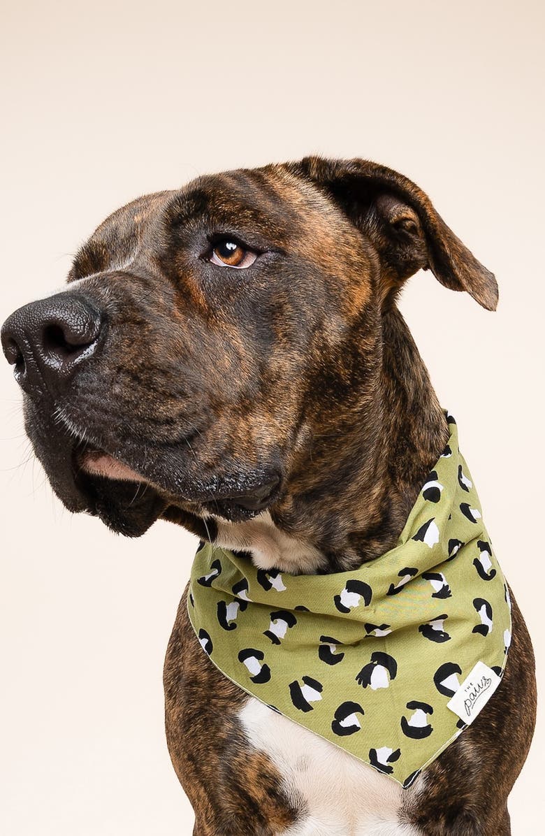 The Paws Olive Dog Bandana, Alternate, color, Green