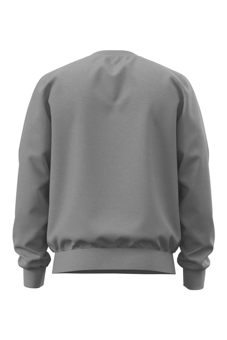 Evolution Simple Dome Fleece Crewneck Sweatshirt, Alternate, color, TNF PALE GREY HEATHER