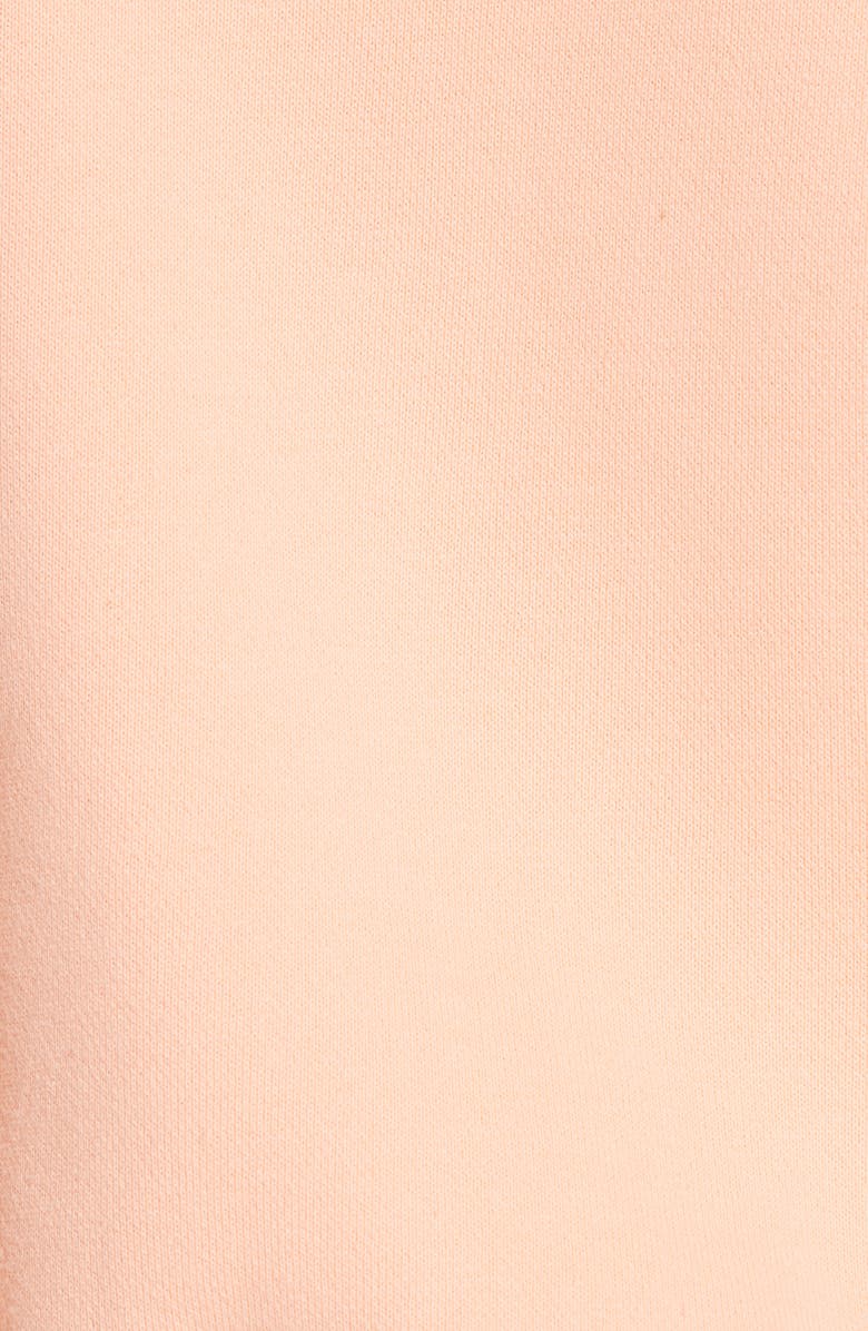 alexanderwang.t Dense Fleece Hoodie, Alternate, color, 