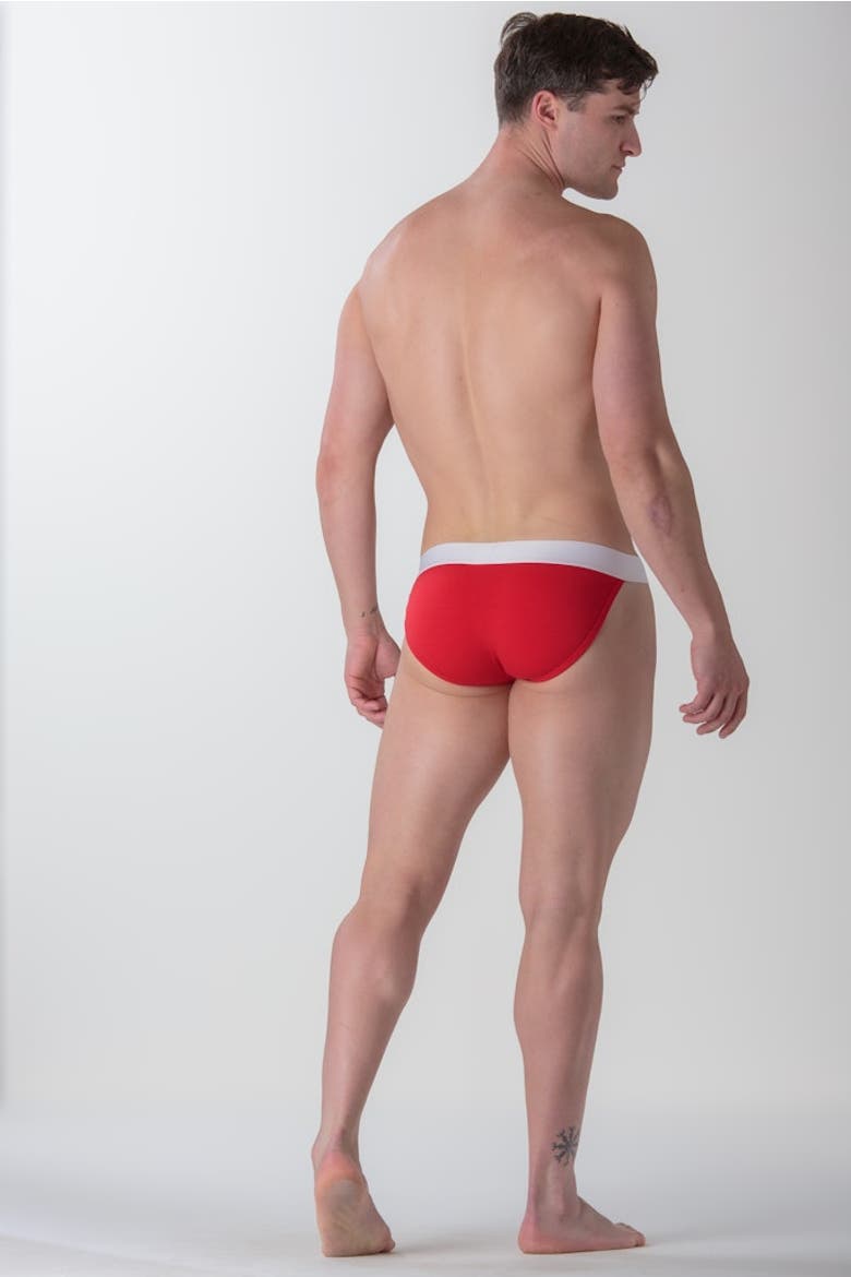 Sexy Fun Tanga Briefs, Alternate, color, Red