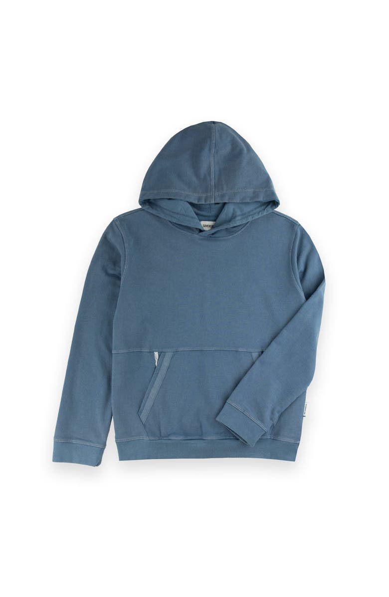 Sovereign Code Spider Hoodie, Main, color, Coronet Blue