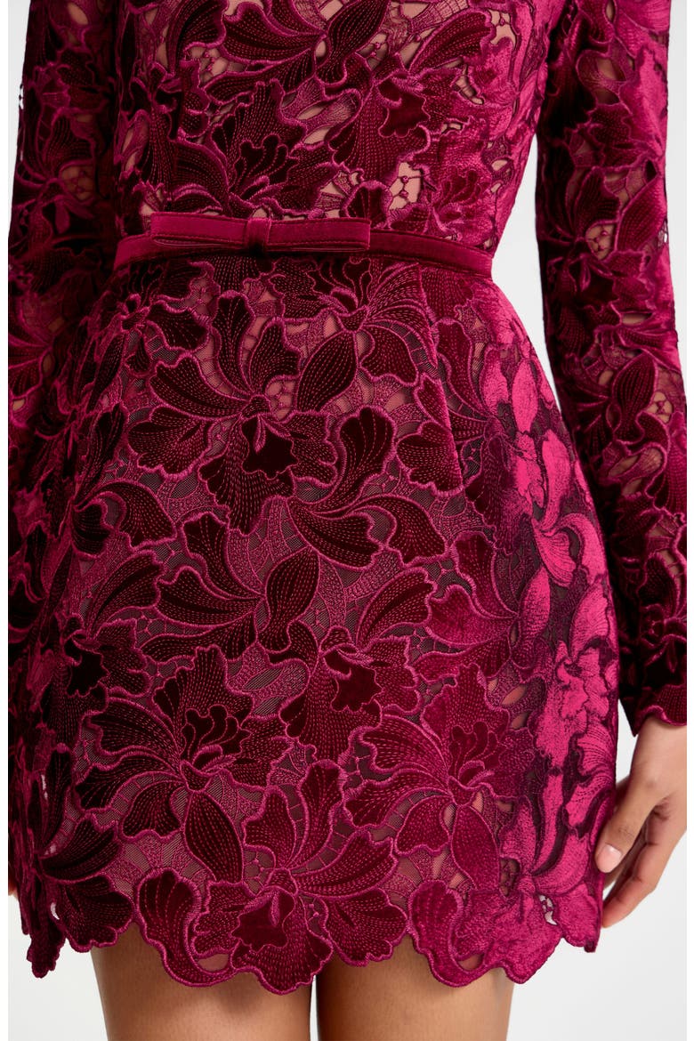 Lydia Floral Lace Long Sleeve Minidress, Alternate, color, BURGUNDY
