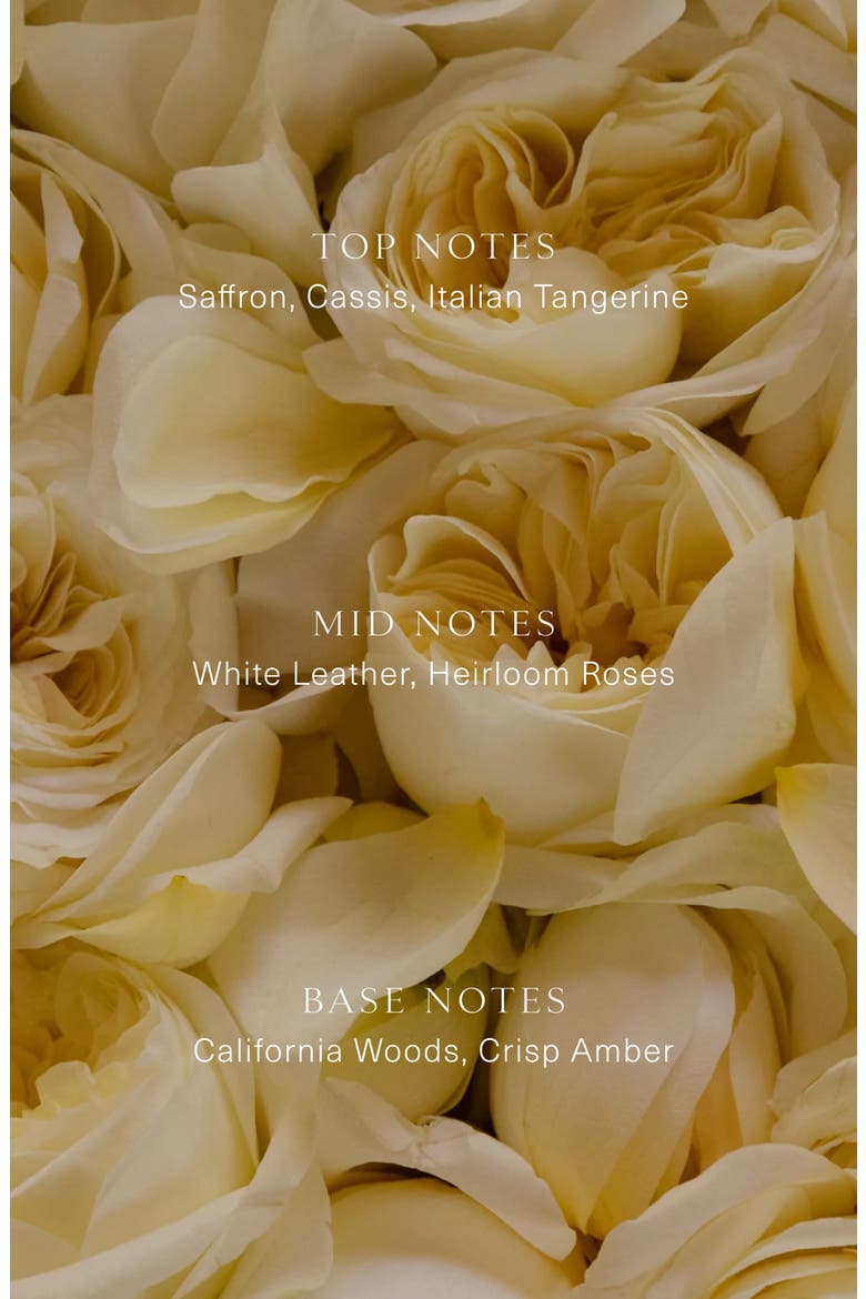 Cuir Rose Candle, Alternate, color, NO COLOR