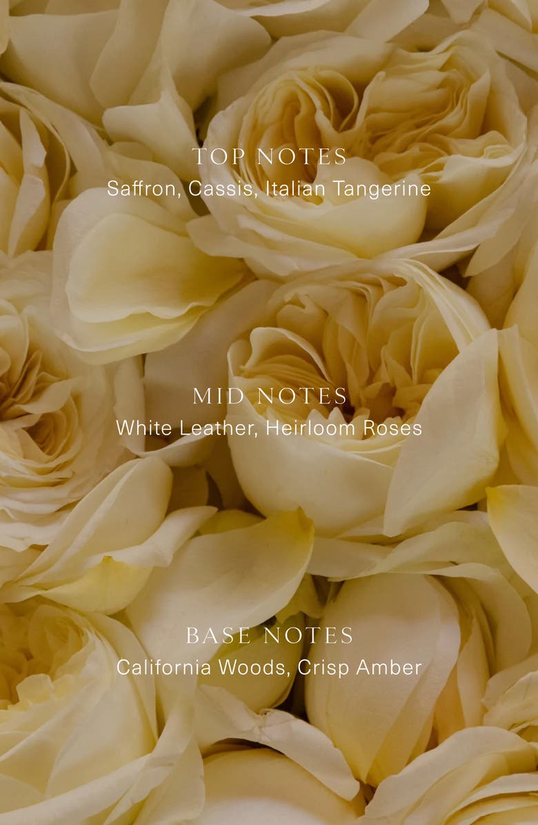 Oak Essentials Cuir Rose Candle, Alternate, color,