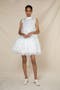 selected Ivory