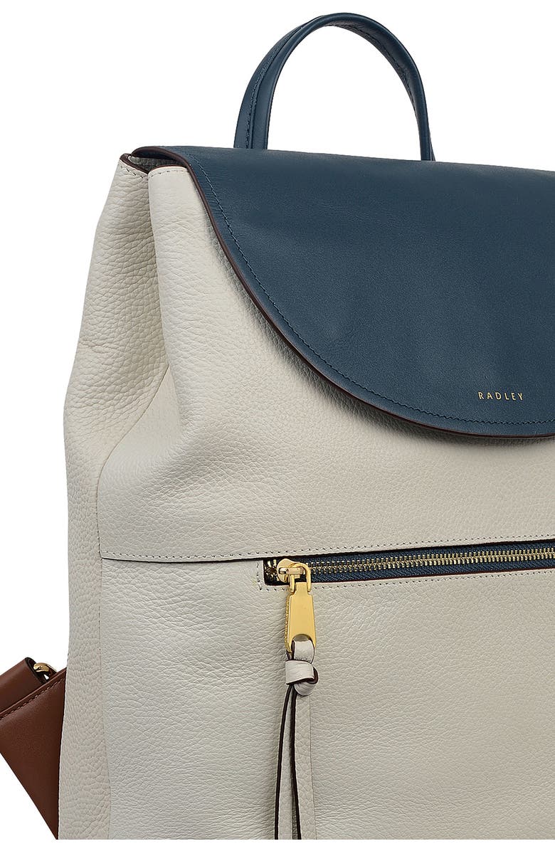 Radley Albion Street Colorblock Backpack, Alternate, color, Snow