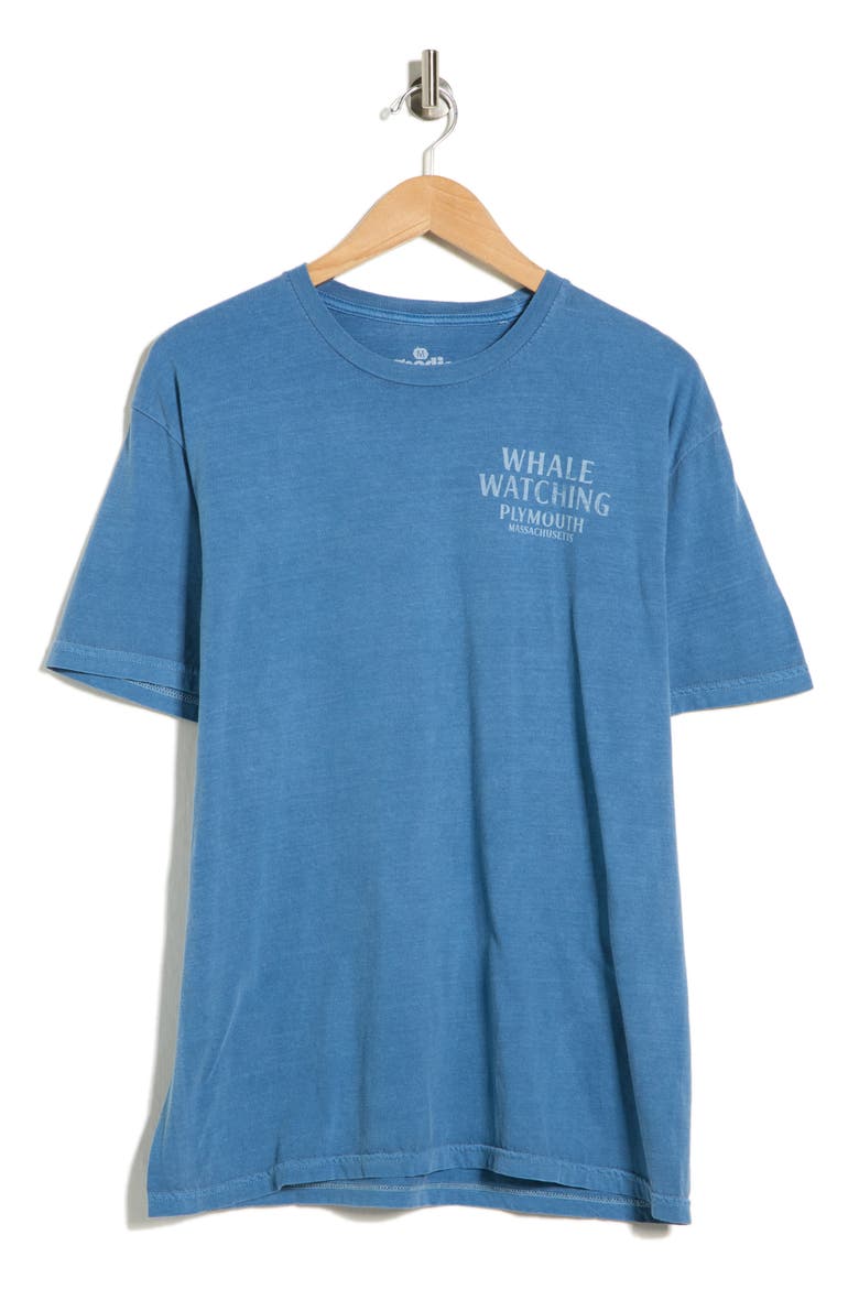 Plymouth Whale Watching Graphic T-Shirt, Alternate, color, BLUE