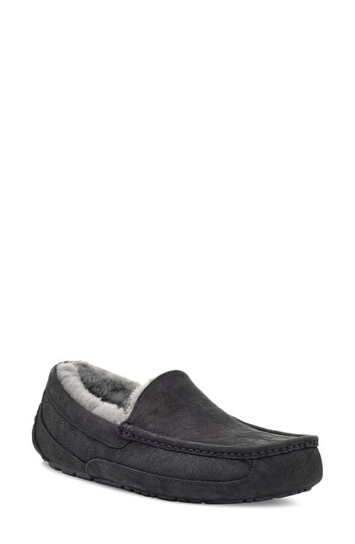 Ugg(r) Ascot Slipper In Black