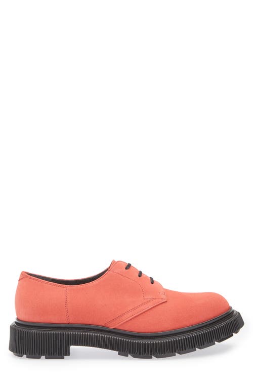 Adieu Plain Toe Derby In Poppy