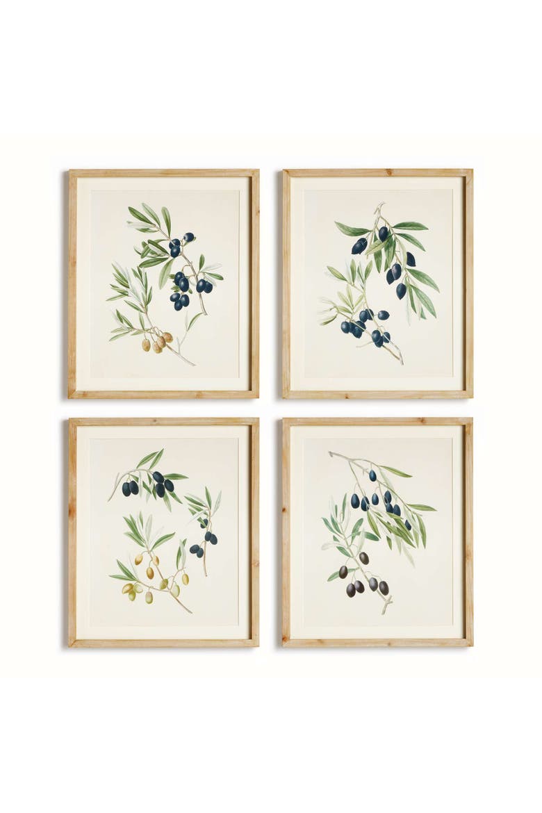 Olive Stems Study Set Of 4, Main, color, Green