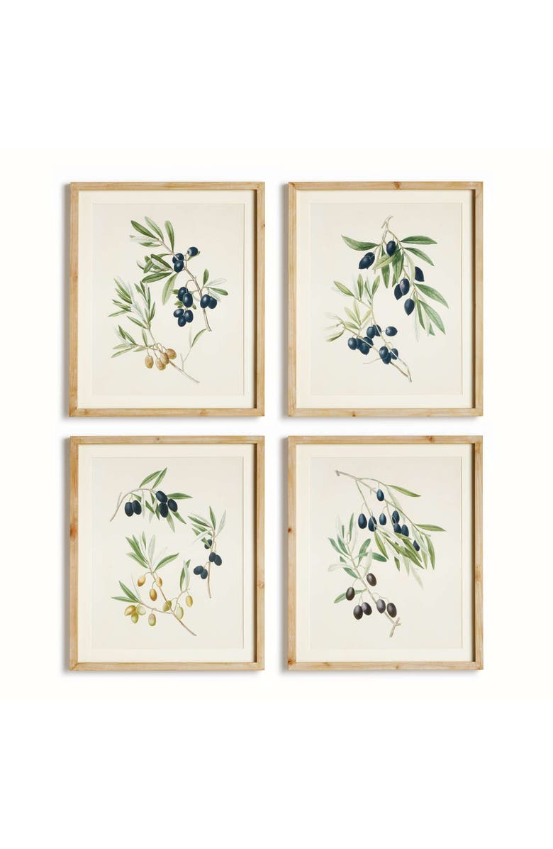 Napa Home & Garden Olive Stems Study Set Of 4, Main, color, 