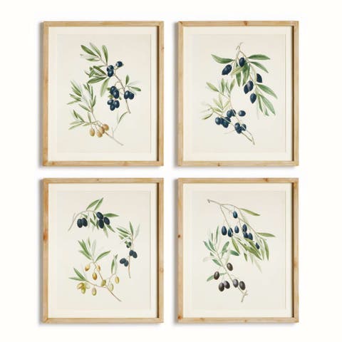 Olive Stems Study Set Of 4