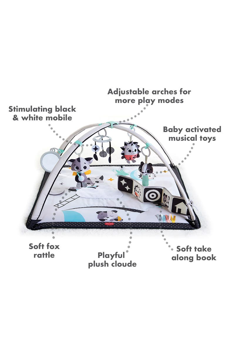 TINY LOVE Gymini Deluxe, Alternate, color,