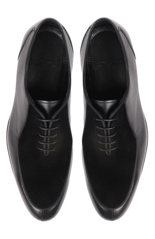 Vellapais Ovalo Oxford In Black