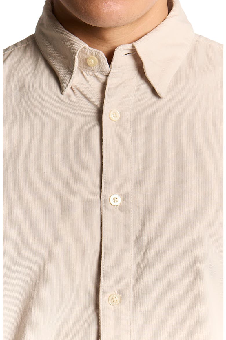 Long Sleeve Micro Corduroy Shirt, Alternate, color, Putty