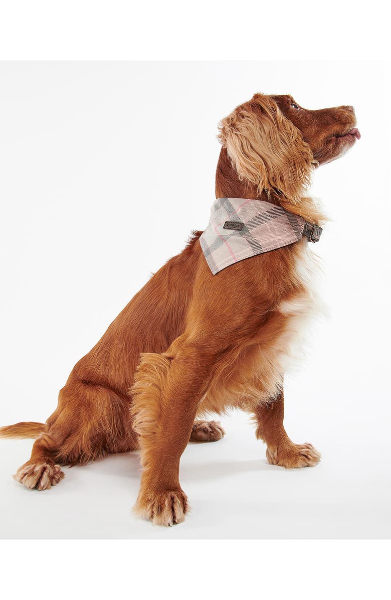 Barbour Tartan Dog Bandana, Alternate, color, Taupe/ Pink Tartan