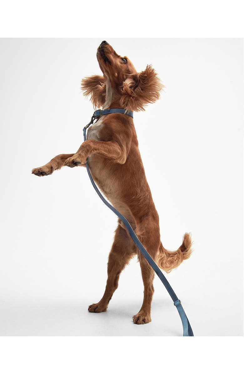 Barbour Leather Dog Lead, Alternate, color, 