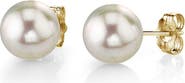 The Pearl Source Akoya Round Pearl Stud Earrings 6-6.5mm