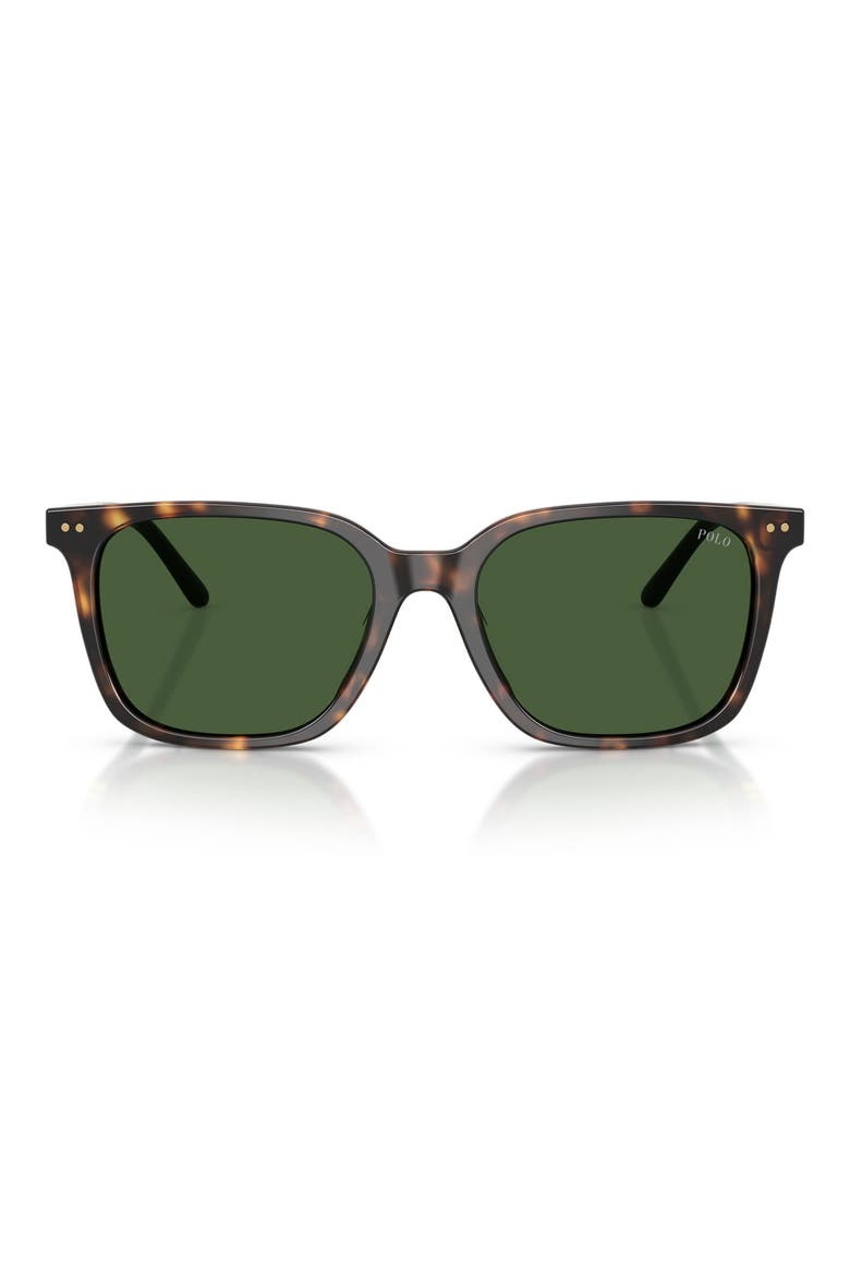 54mm Square Sunglasses, Main, color, SHINY DARK HAVANA / GREEN