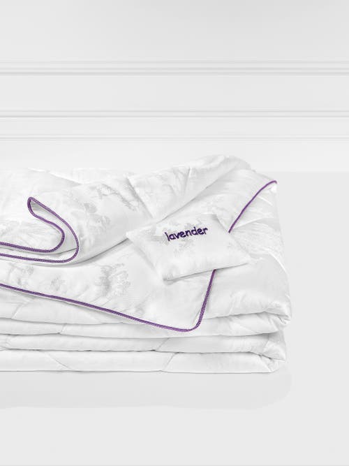 Togas Milk Dreams Comforter In White