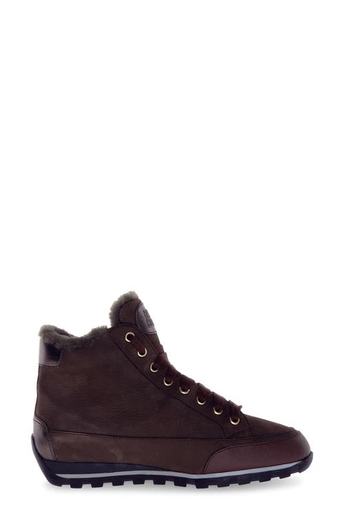 Candice Cooper Runlo Waterproof Genuine Shearling Lined High Top Sneaker In Multi