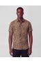 selected Leopard Brown