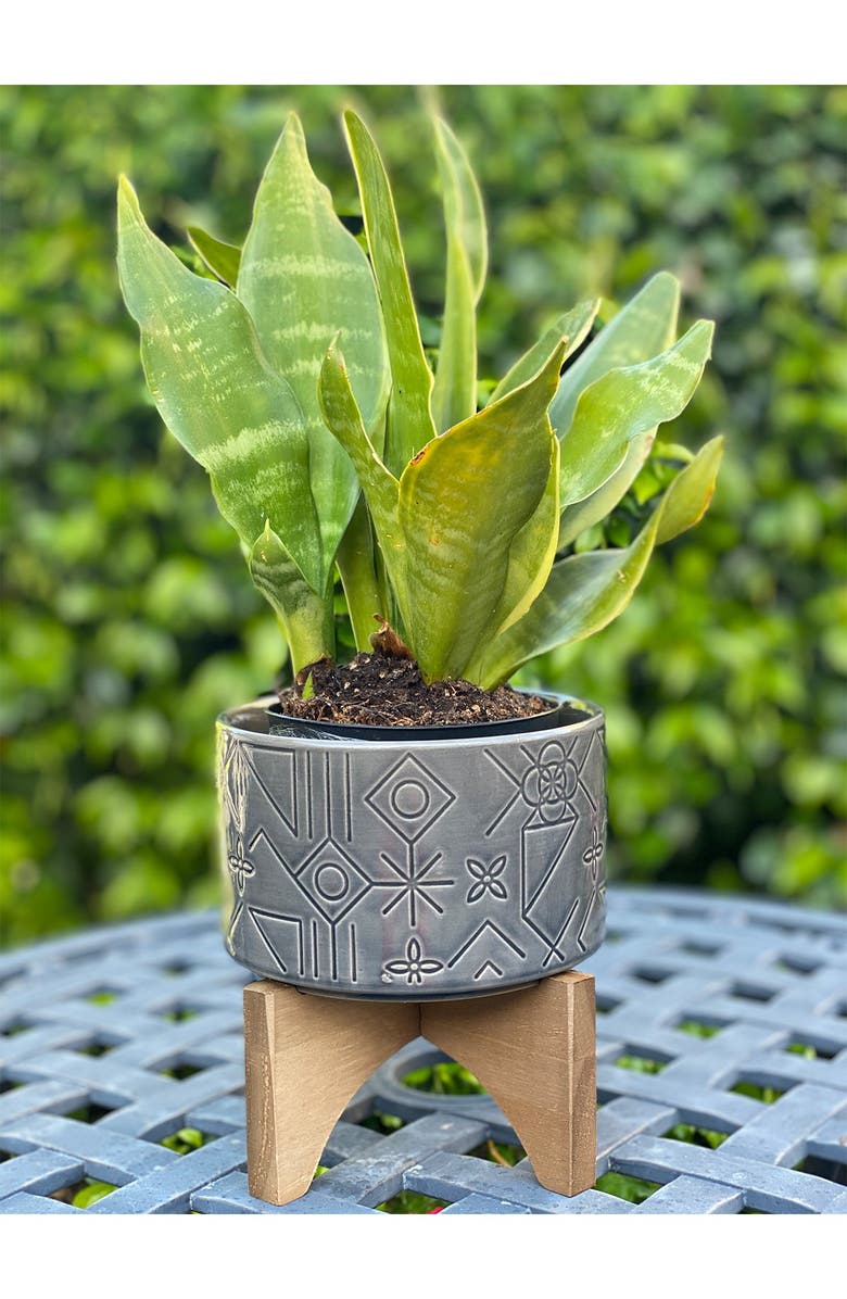 FLORA BUNDA 6" Pinwheel Ceramic Planter on Wood Stand - Glass Charcoal, Alternate, color, 