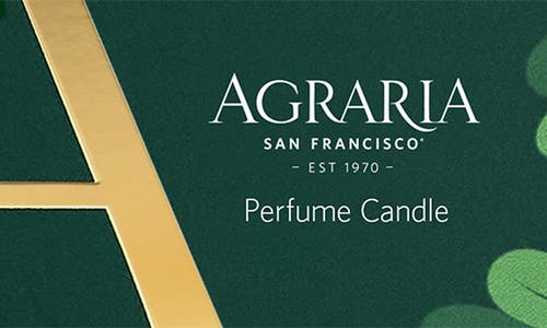 Agraria San Francisco Holiday Perfume Candle In Green