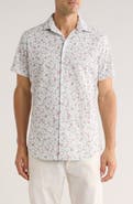 Rodd & Gunn Kettle Park Sports Fit Cotton Button-Up Shirt