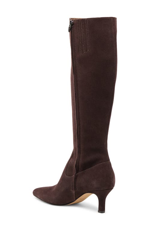 Dolce Vita Attie H2o Water Resistant Knee High Boot In Brown