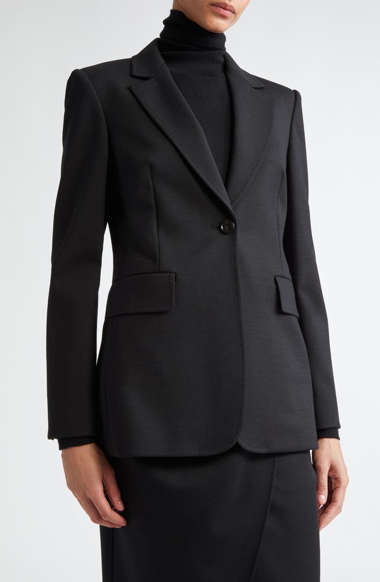 Max Mara Serio One-Button Blazer, Alternate, color,