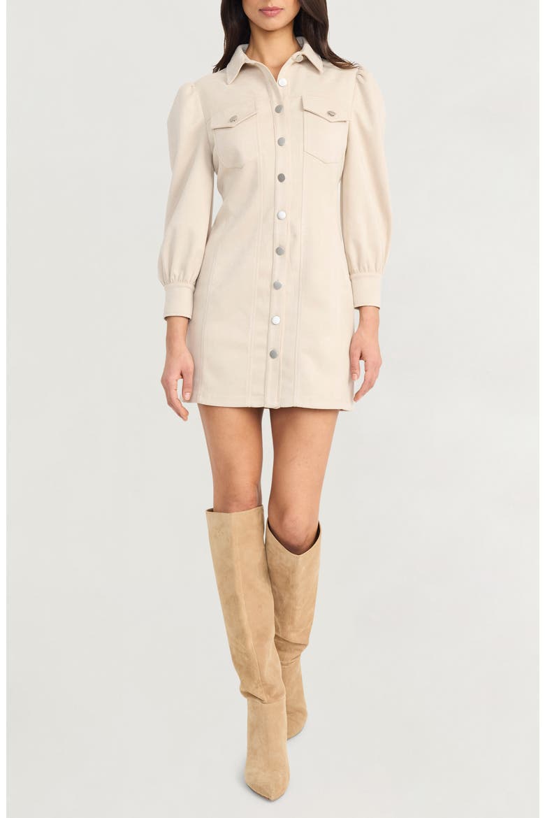 Long Sleeve Faux Suede Minidress, Main, color, FRENCH OAK