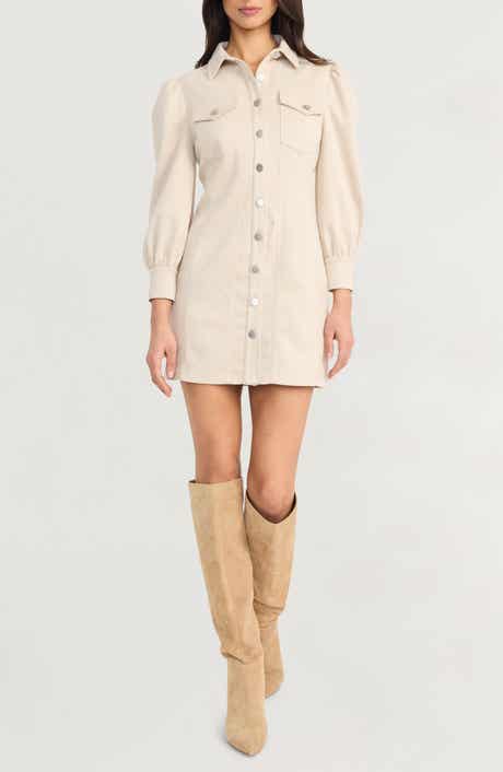 The Good Journey Long Sleeve Faux Suede Minidress