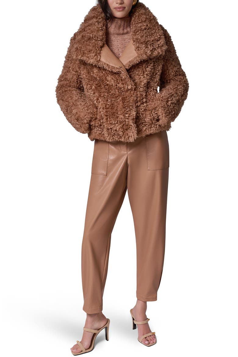 Faux Fur Teddy Jacket, Alternate, color, CAMEL