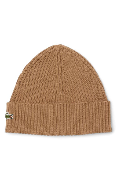 Lacoste Wool Cuff Beanie In Brown