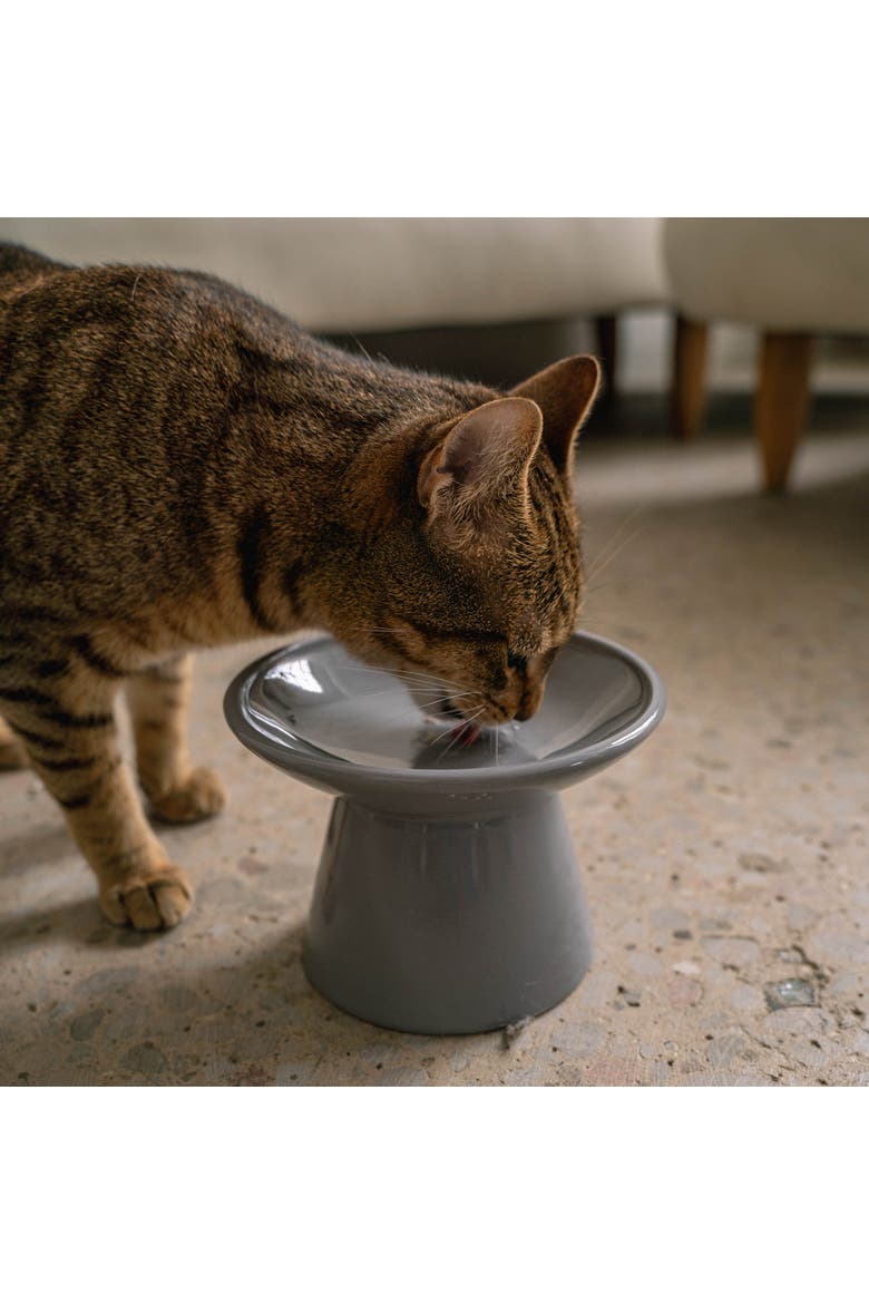 Flat Top Ceramic Cat Bowl, Grey, 7.5oz, Alternate, color, Gray
