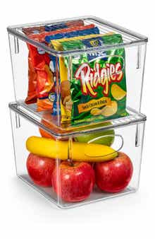 Set of 2 Medium Clear Storage Bins