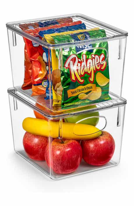 Set of 2 Medium Clear Storage Bins