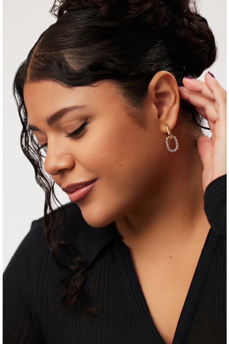 Ash Double Hoop Earrings, Alternate, color, GOLD / SILVER