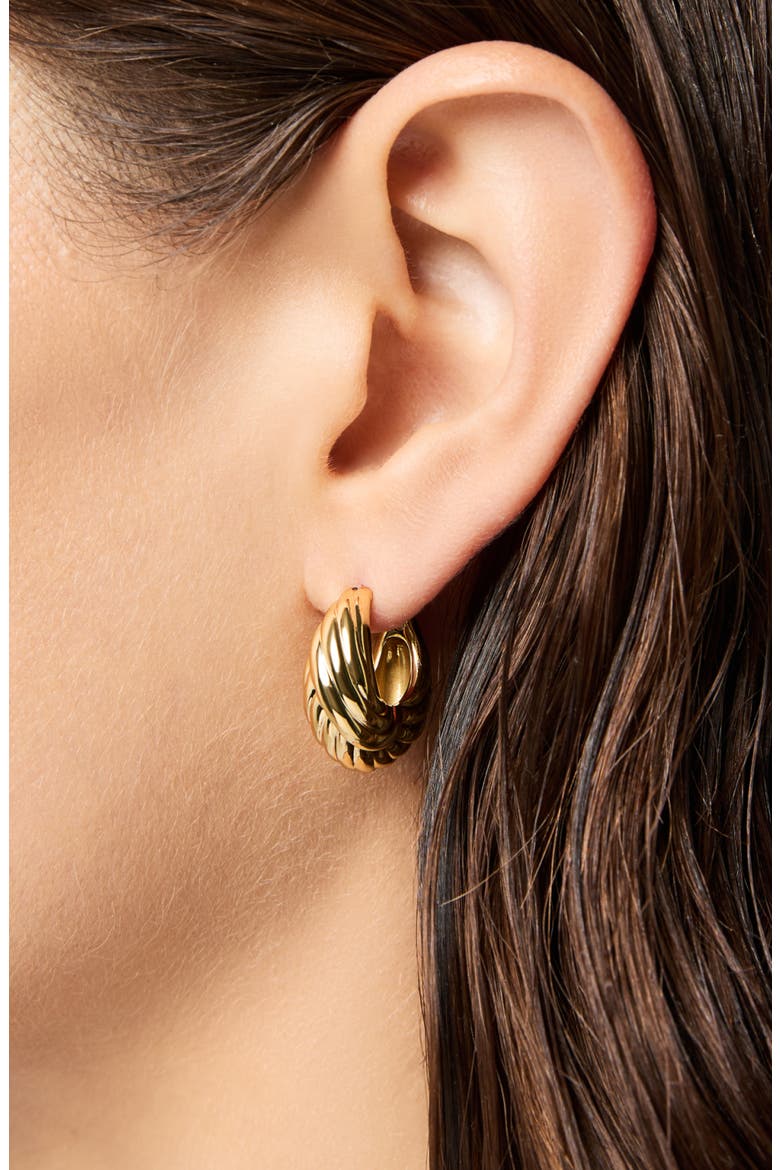 Gold Hoop Earrings - Tymie, Alternate, color, Gold